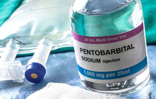 What Is Nembutal Used For